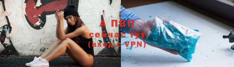 A PVP СК  Жиздра 